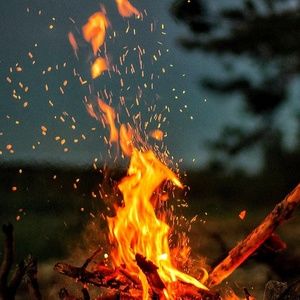 Meet your Posher, Lorie